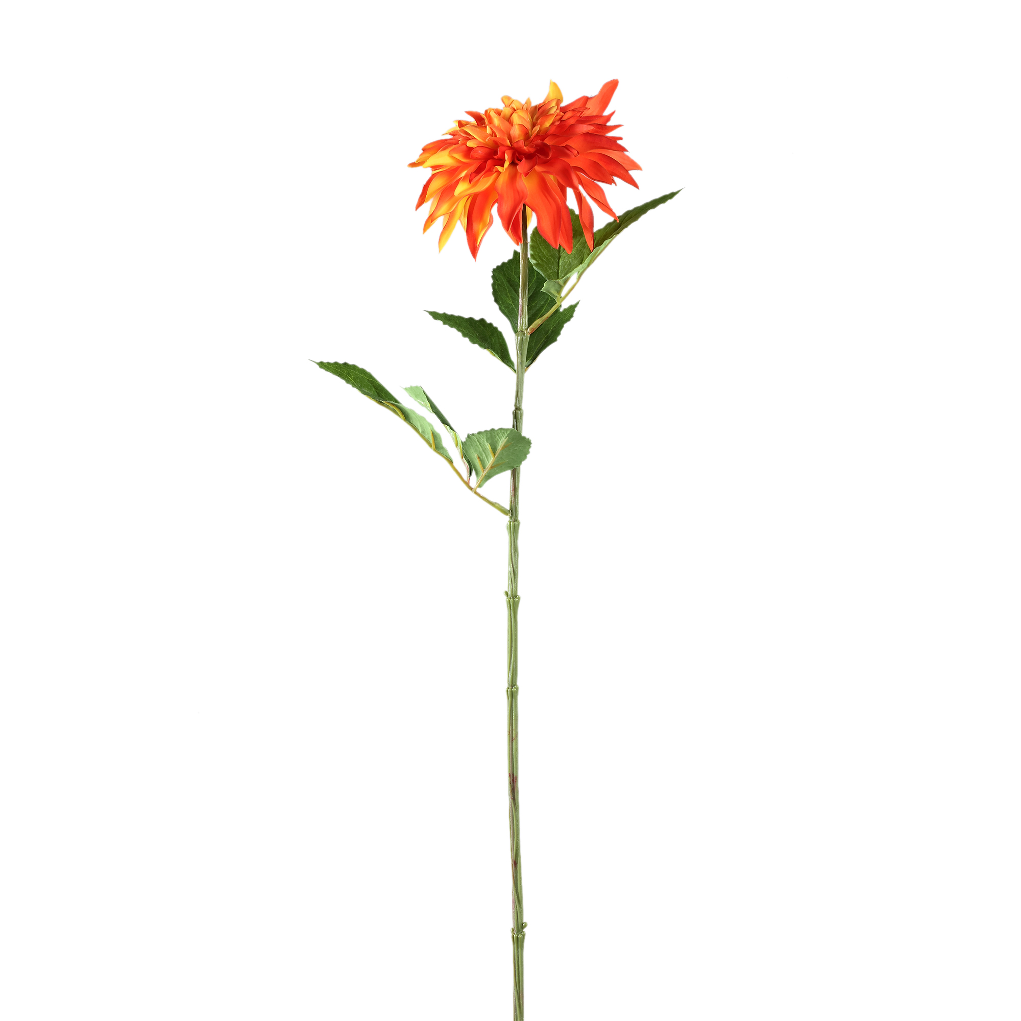 Dahlia — Jaune orangé