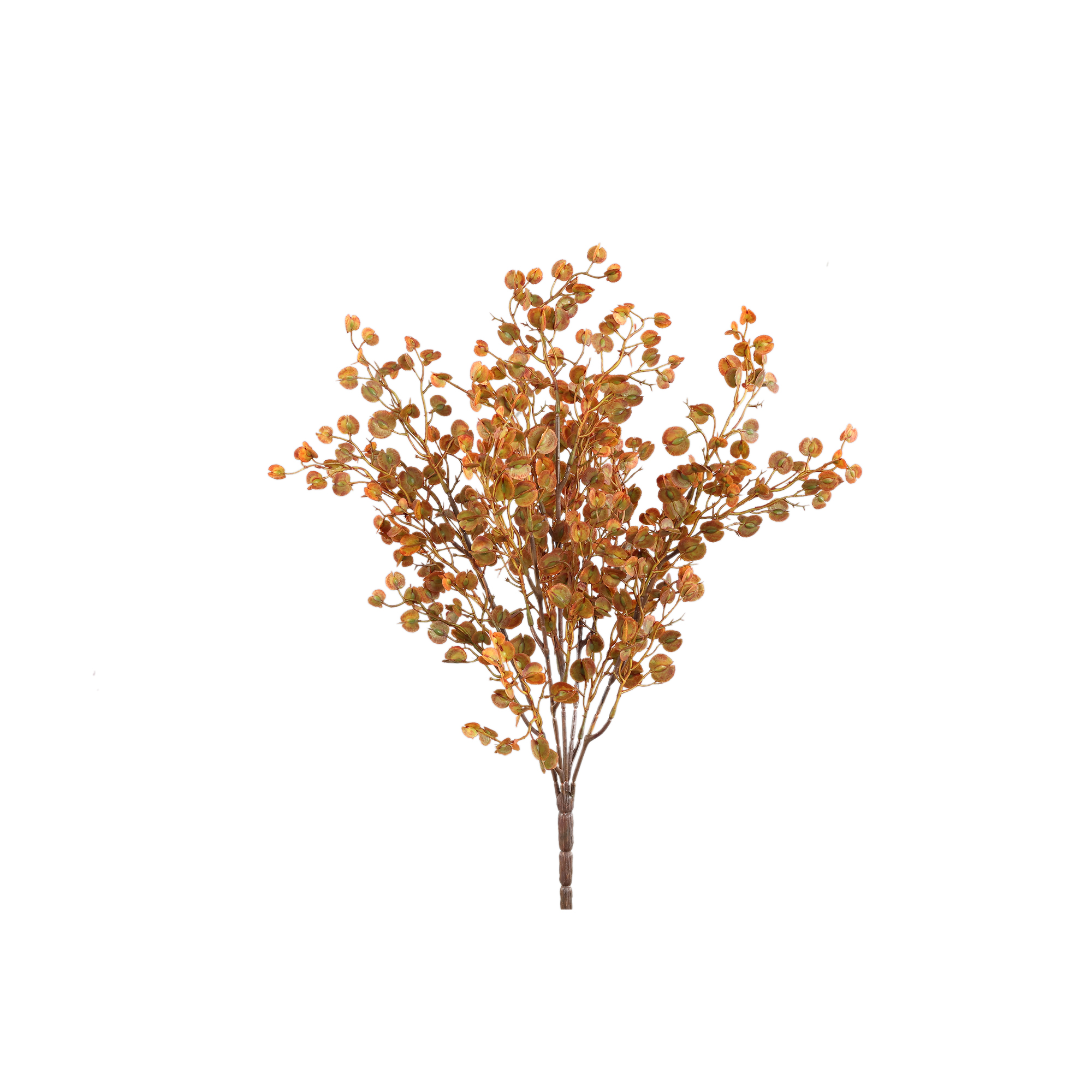 Buisson de feuilles — Orange