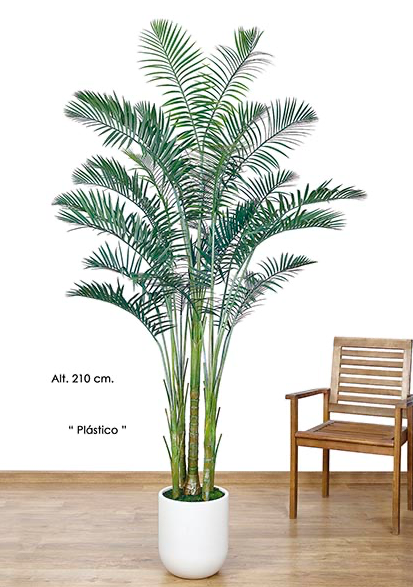 Palmier 210 cm