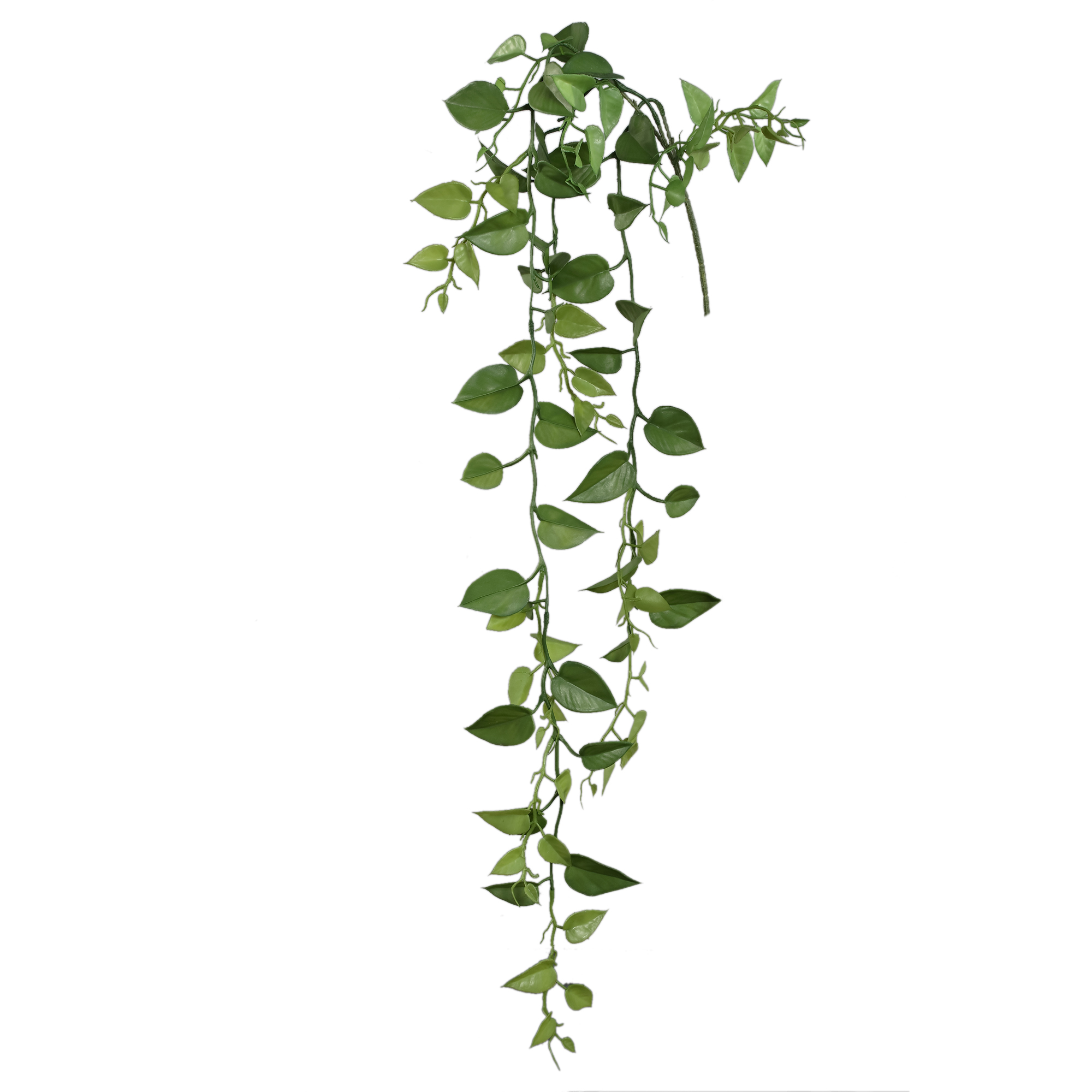 Feuille Moss