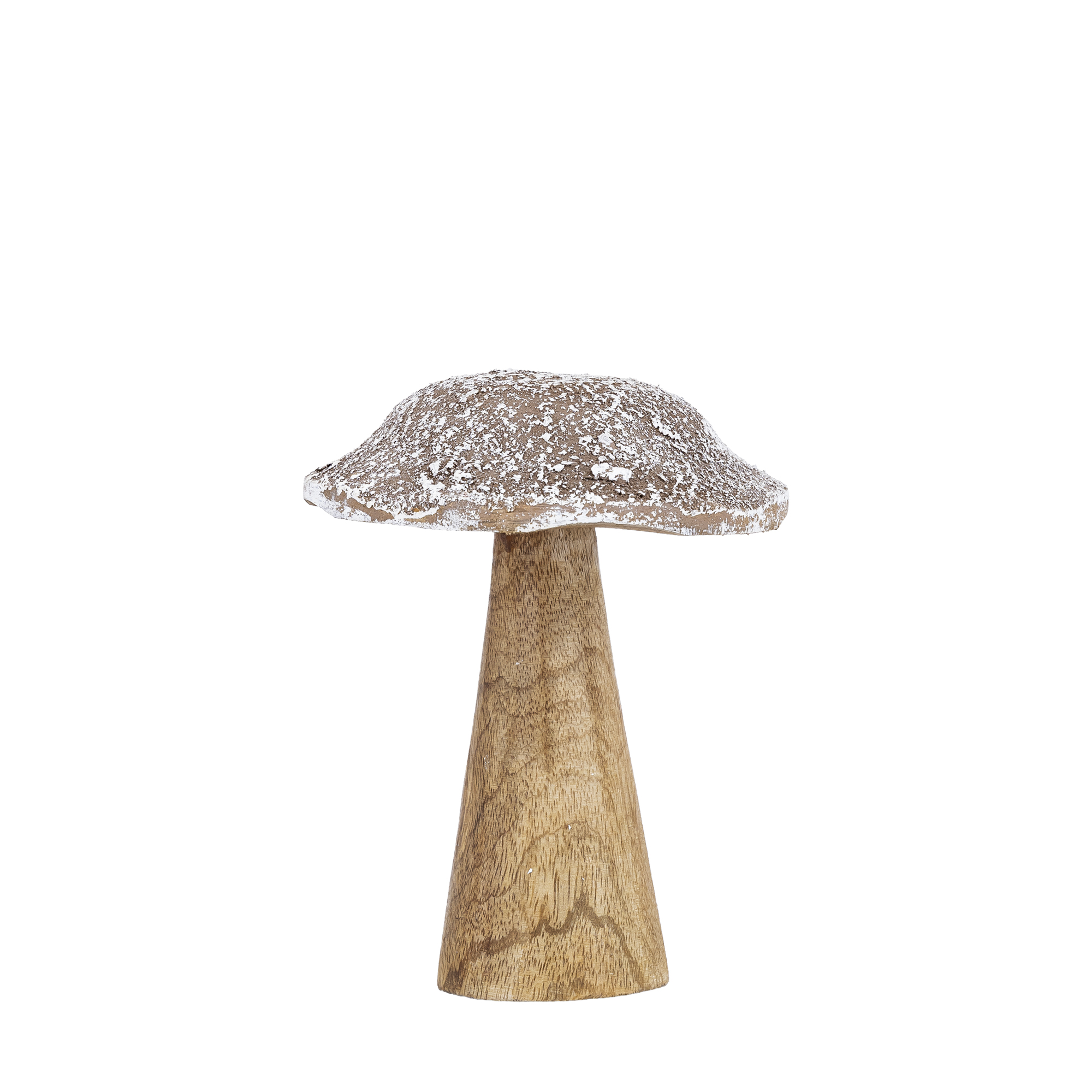Darlamea Beige burn wood